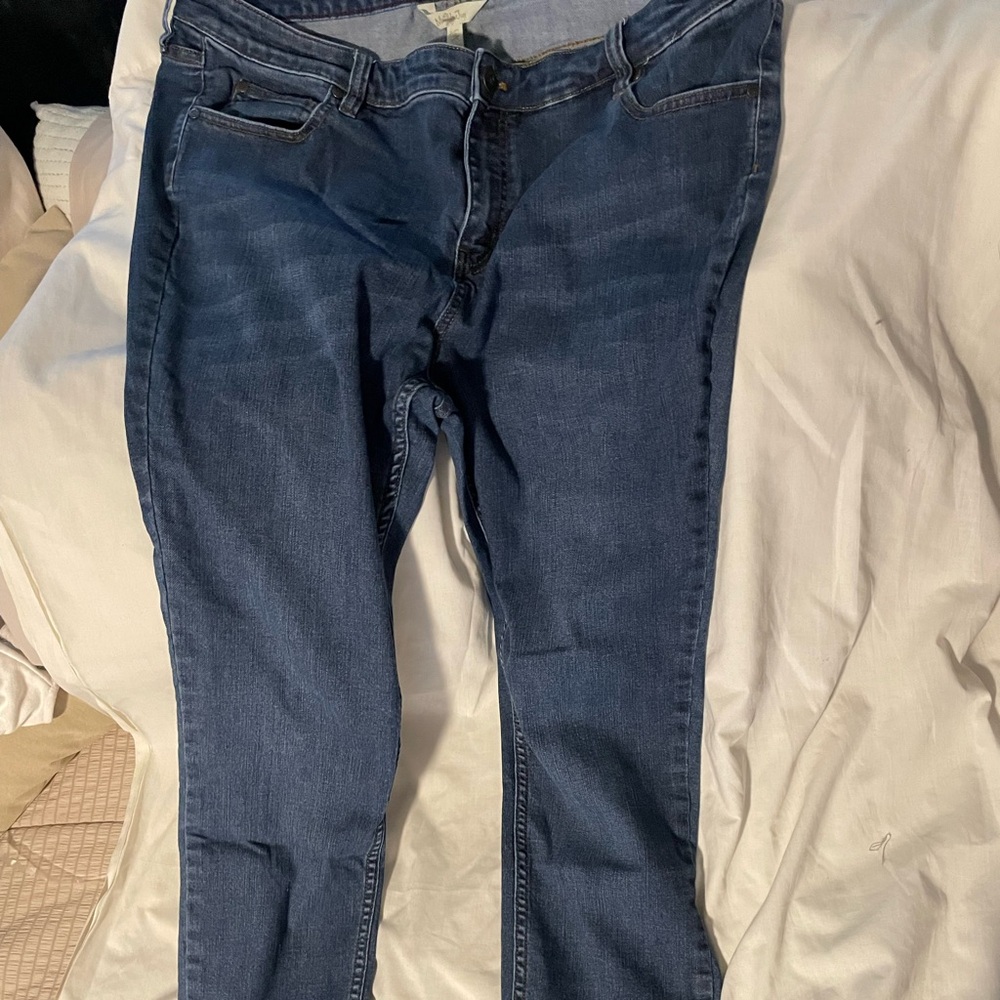 Matilda Jane jeans Plus size 16